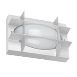 BLIZ OVAL 21 S/EW 840 WIT