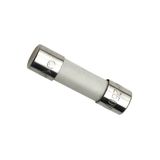 Fuse [10A/250V]