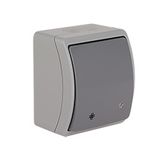 VW-4L Koala Intermediate Switch with illumination surface mounted IP44 gray/graphite VW 154-58