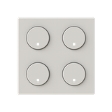 COVER DUNA MOD. 2IN SR-4-N2 DN