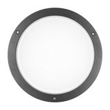 BLIZ ROUND 30 LED 22W 840 ANTHRACITE