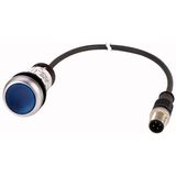 C22-DRL-B-K10-24-P3 Illuminated pushbutton actuators, maintained, blue, 24v, 1 N/O, with cable 0.5m and M12A plug