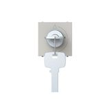Key switch 3 positions - 2M - Dune