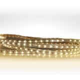 SMD ROPE 6W/m WW IP65 230V DIMMABLE