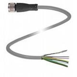 V19-G-8,6M-PUR-ABG-Y292284 Diagnostic Mo