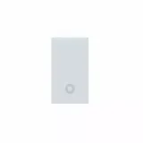 1 POLE N/O PUSH BUTTON RAL