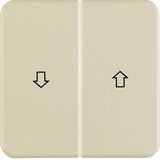 Rocker 2gang imprinted arrow symbol, splash-proteced flush-mtd IP44, w