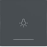 Rocker single with light symbol imprint, clear lens, A.x/C.x, anthracite