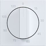 Central plate for mechanical time switch 0-120 min., A.x/C.x, matte white