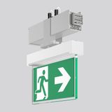 LINEDO, silver, on/off Continuous line luminaire, L 336 B 62 H 343, CB