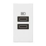Arteor™ - 1 module USB two ports C+C - 3A- 15W - White