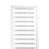 Coding 101 - 200 pre-printed (500 pieces)