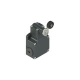 Position switch with roller lever