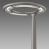 AURA 1781 LED 21W CLD GRAPHITE 3000K