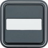 CUBYKO INSCRIPTION BUTTON INSERT IP55 GRAY