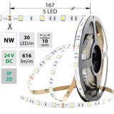 LED strip SMD5050 NW, 30LED/m, 8,5W/m, 616lm/m, IP20, DC 24V, 10mm, 50m