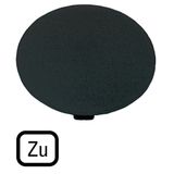 M22-XDP-S-D2 Button plate, mushroom black, TO