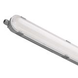 LED Dustproof Luminaire MISTY 35W NW, IP66