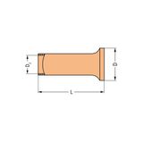 Ferrule