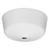 British Standard rosette plug