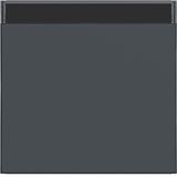 Single rocker, text field, A.x/C.x, anthracite