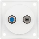 Integro Inserts-Aerial Connector Box Radio/SAT, Polar White Matt