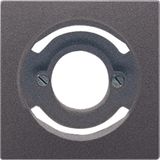 Centre plate AL2937AN