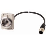 Pushbutton, Flat, momentary, 1 NC, Cable (black) with M12A plug, 4 pole, 1 m, Without button plate, Metal bezel