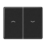 2-gang switch rocker
