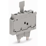 Fuse plug with pull-tab for 5 x 30 mm miniature metric fuse gray