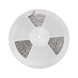 Led Strip 35W 3528 120Led Ww 2 Years Eco 1M (Roll 30M) Without Silicone