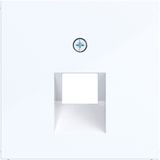 Central pl data socket 1-way, angled output, A.x/C.x light white glass.