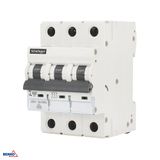 OVERCURRENT CIRCUIT BREAKER 6KA 3P B 50A VDE SCHELINGER