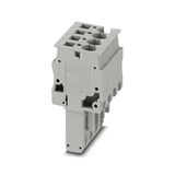 SP 4/ 4 - Plug