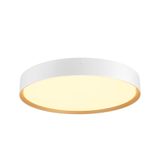 DECONA 42 PHASE 3000/4000K White/Gold
