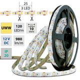 LED strip SMD2835 UWW, 120LED/m, 14W/m, 980lm/m, IP20, DC 12V, 10mm, 50m
