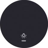 Rocker imprinted symbol for light, clearlens, R.1/R.3, black glossy