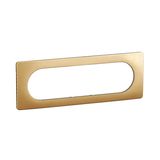 PLATE 3G LARGE SATIN BRASS