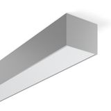 LESS IS MORE vario, 29 W, 3800 lm, 830, silver, DALI Ceiling and wall 