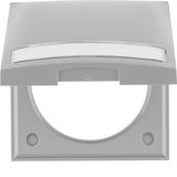 Integro Flow-Frame, 1-Gang, Hinged Cover and Labelling Field Grey Glos