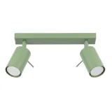 Ceiling lamp RING 2 sage