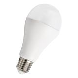 Ecobasic LED A65 E27 240V 20W 4000K Opal