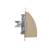 Double socket with earthing and shutters, satin, metallized, 16A