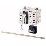DDC-80/2/M4/P-G DC switch disconnector, 80 A, 2 pole, 1 N/O, 1 N/C, with grey knob, rear mounting