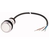 C22-DR-W-K10-P65 Pushbutton, classic, flat, maintained, 1 N/O, white, cable (black) with non-terminated end, 4 pole, 3.5 m