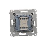 Double button for switches and push buttons, champagne matt