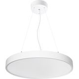 COLOSSAL 600mm 830 OPAL DIR WHITE DALI