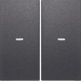 Cover for 2gang for push-button module, clearlenses, S.1/B.3/B.7, ant.