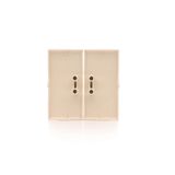 Double button for switches and push buttons, light gray matt