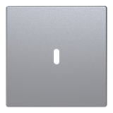 Central disc USB-C power adapter insert 65W